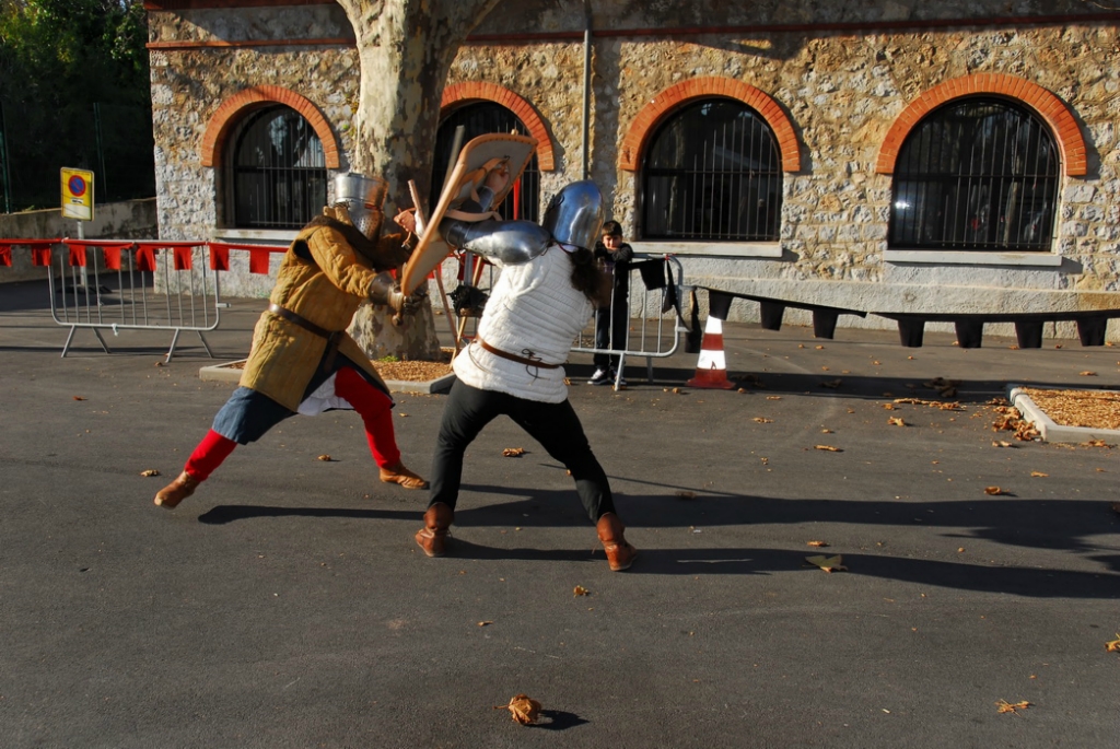 Les chevaliers en pleine action FIMAJE